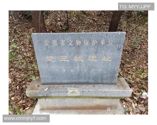 芜湖的历史渊源与文化特色探秘:一座古老城市的现代变革与发展之路