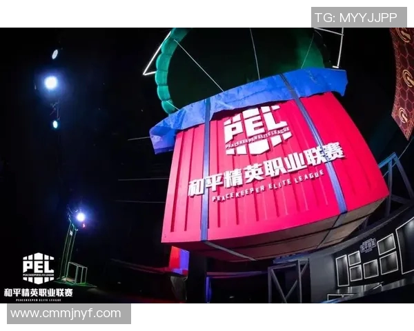 和平精英战场上的默契配合WE战队团队协作的深度解析与探讨