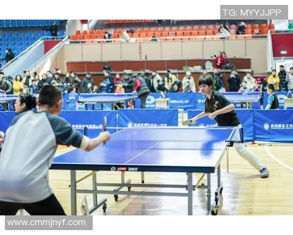 乒乓球专题：探讨西安乒乓球队如何通过团队协作提升竞技水平与凝聚力