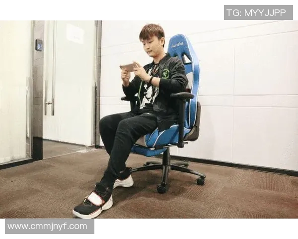 提升游戏体验王者荣耀装备选购中的电竞椅推荐与选购指南