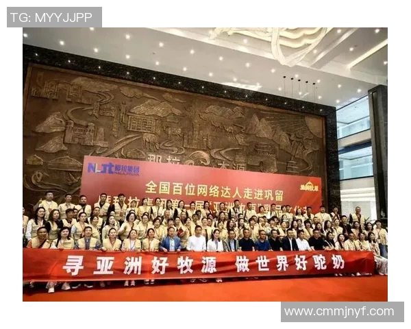 赞助合作模式创新助力品牌营销拓展与市场影响力提升