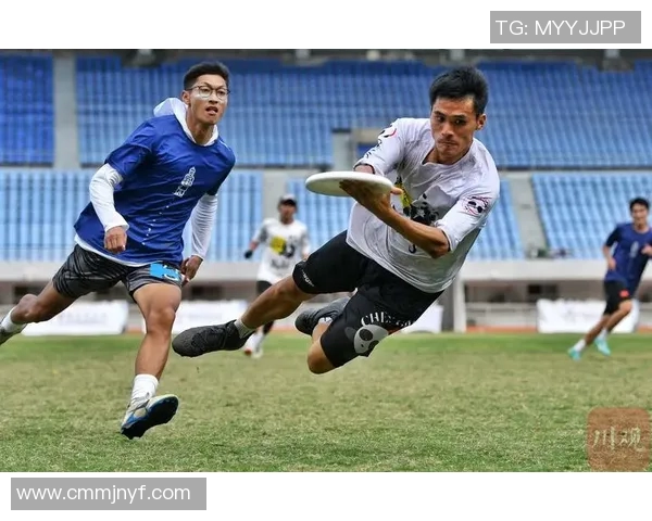 飞盘节奏排名揭晓上海飞盘队创历史新高引发热议