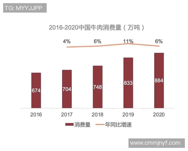 北京极限运动队节奏表现的数据分析与趋势探讨